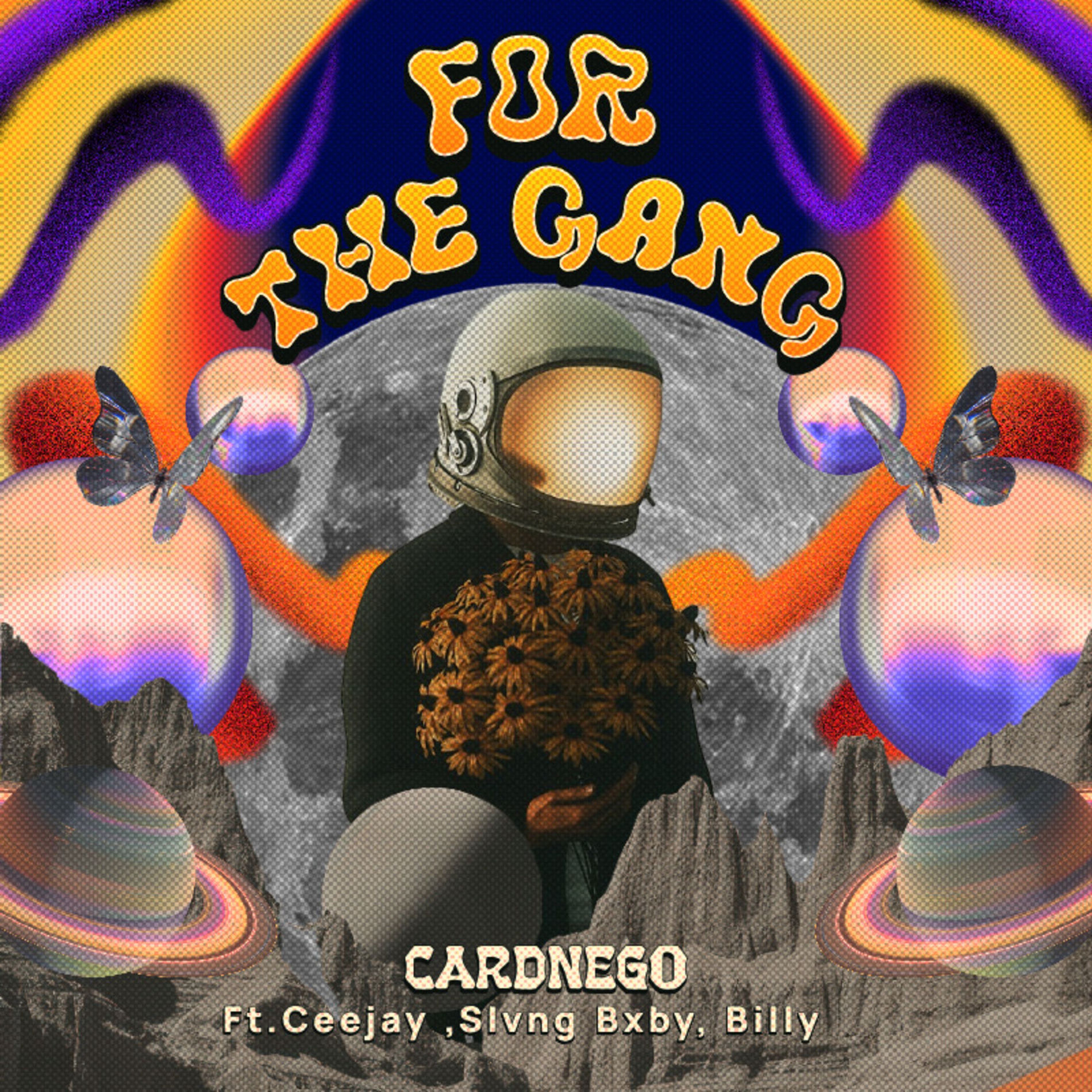 Album cover of For the Gang