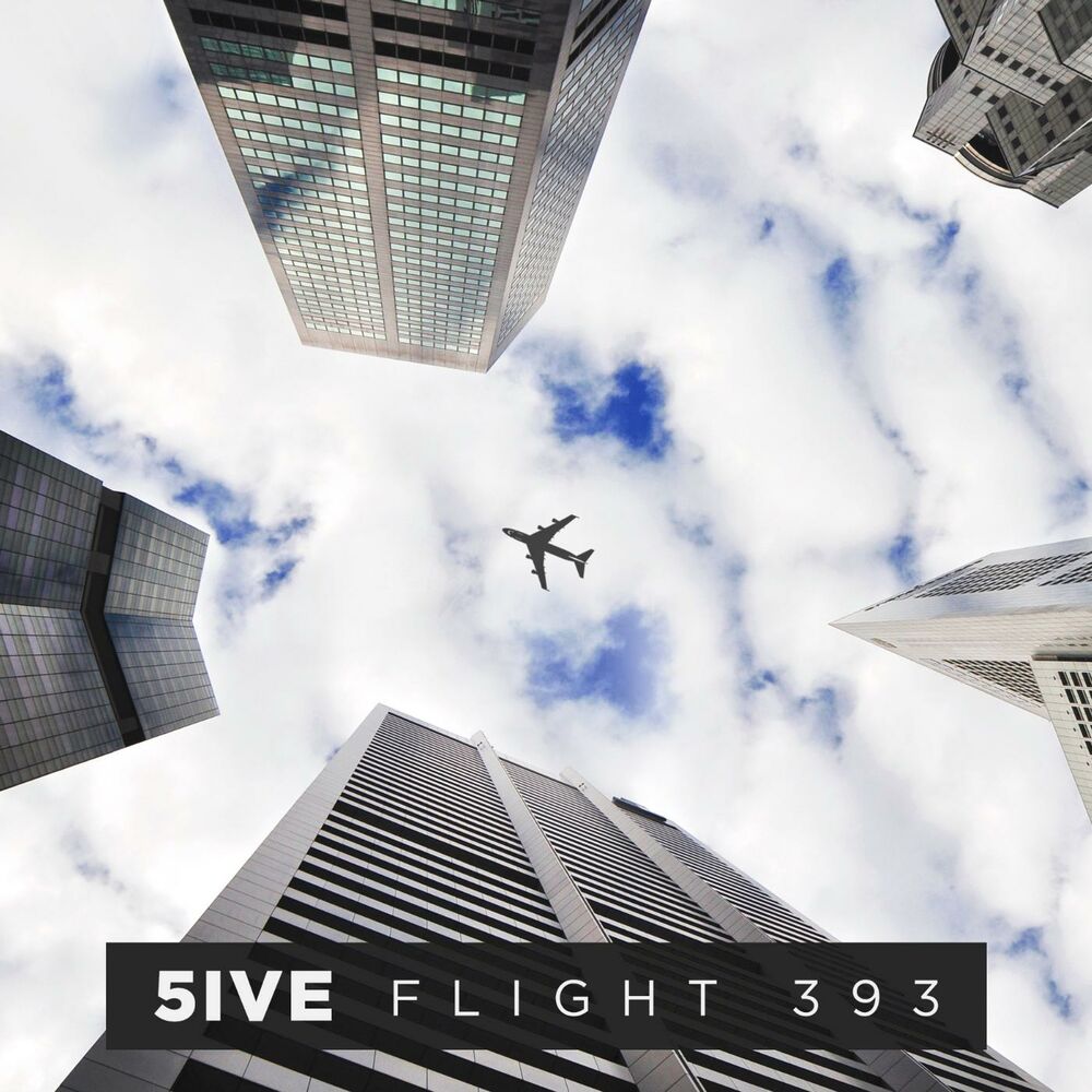 Picture of Flight 393