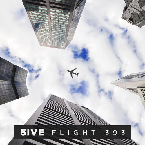 Flight 393