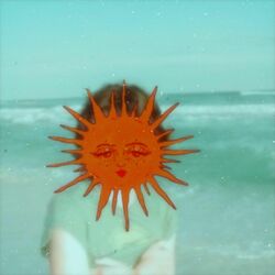 Cover of Don't Look Surprised