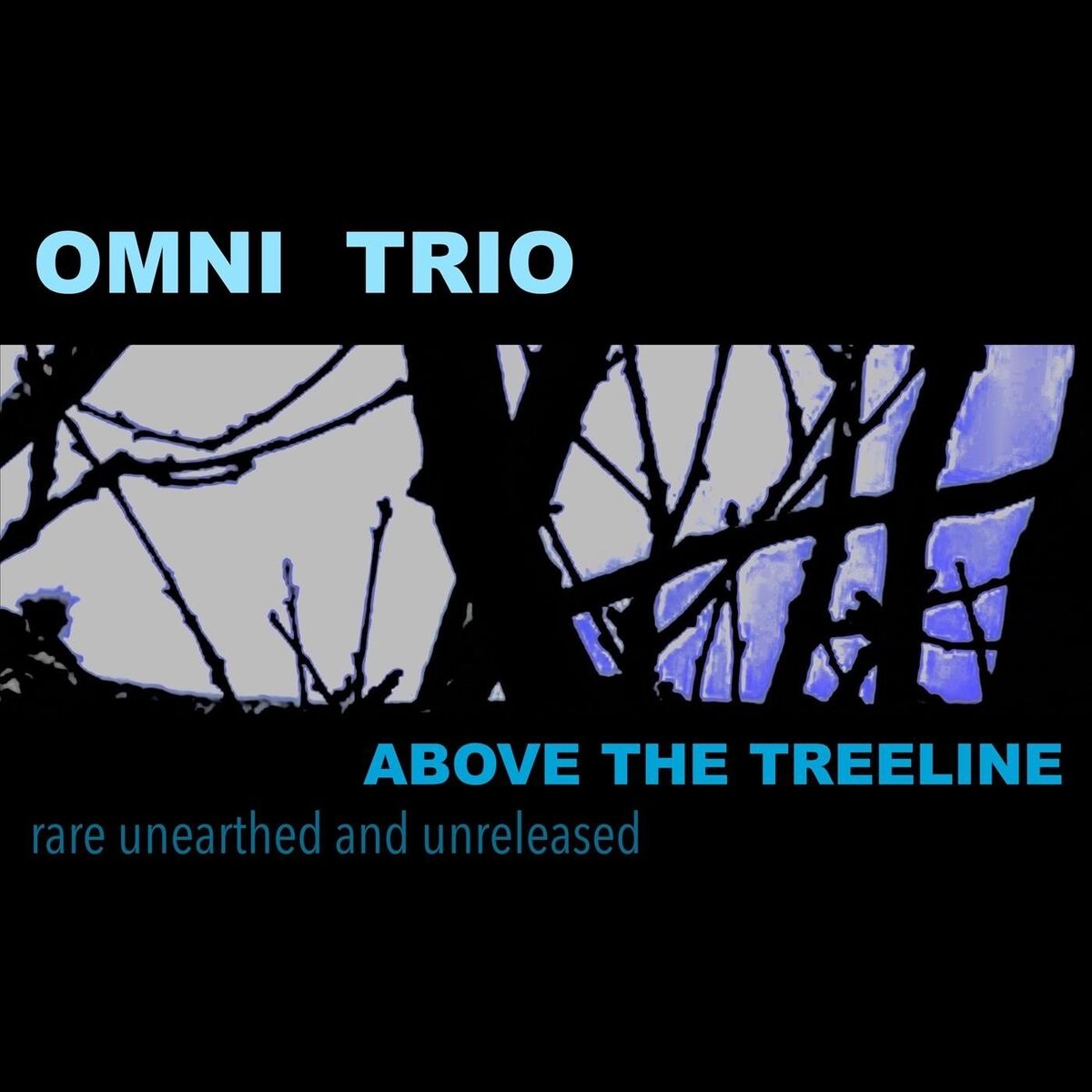Album cover of Above the Treeline