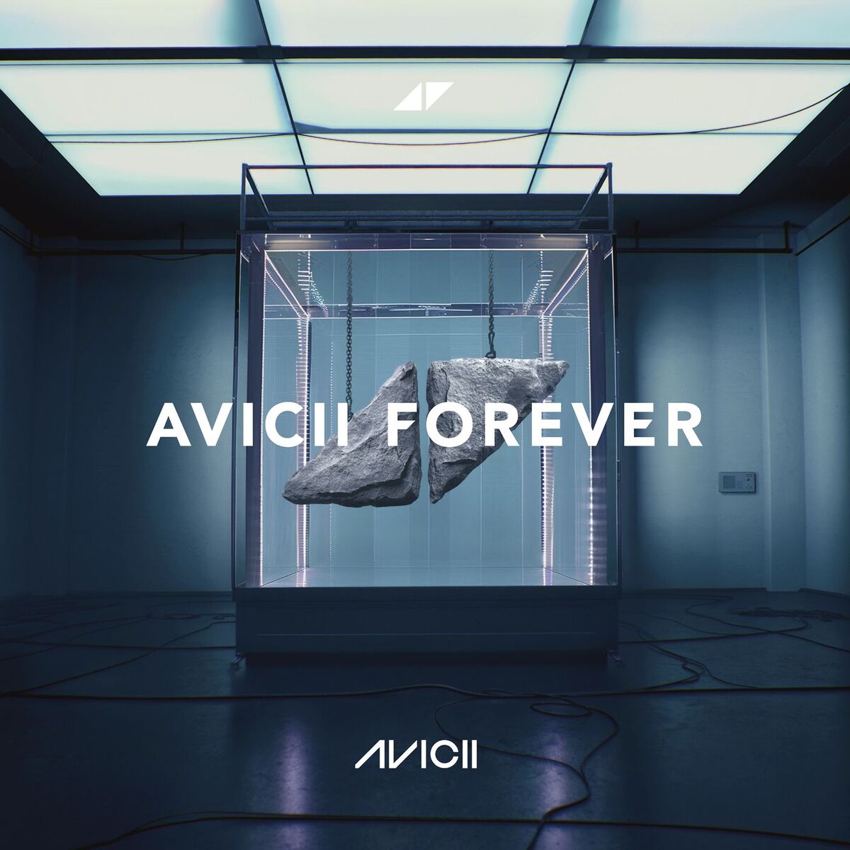 Album cover of Avicii Forever