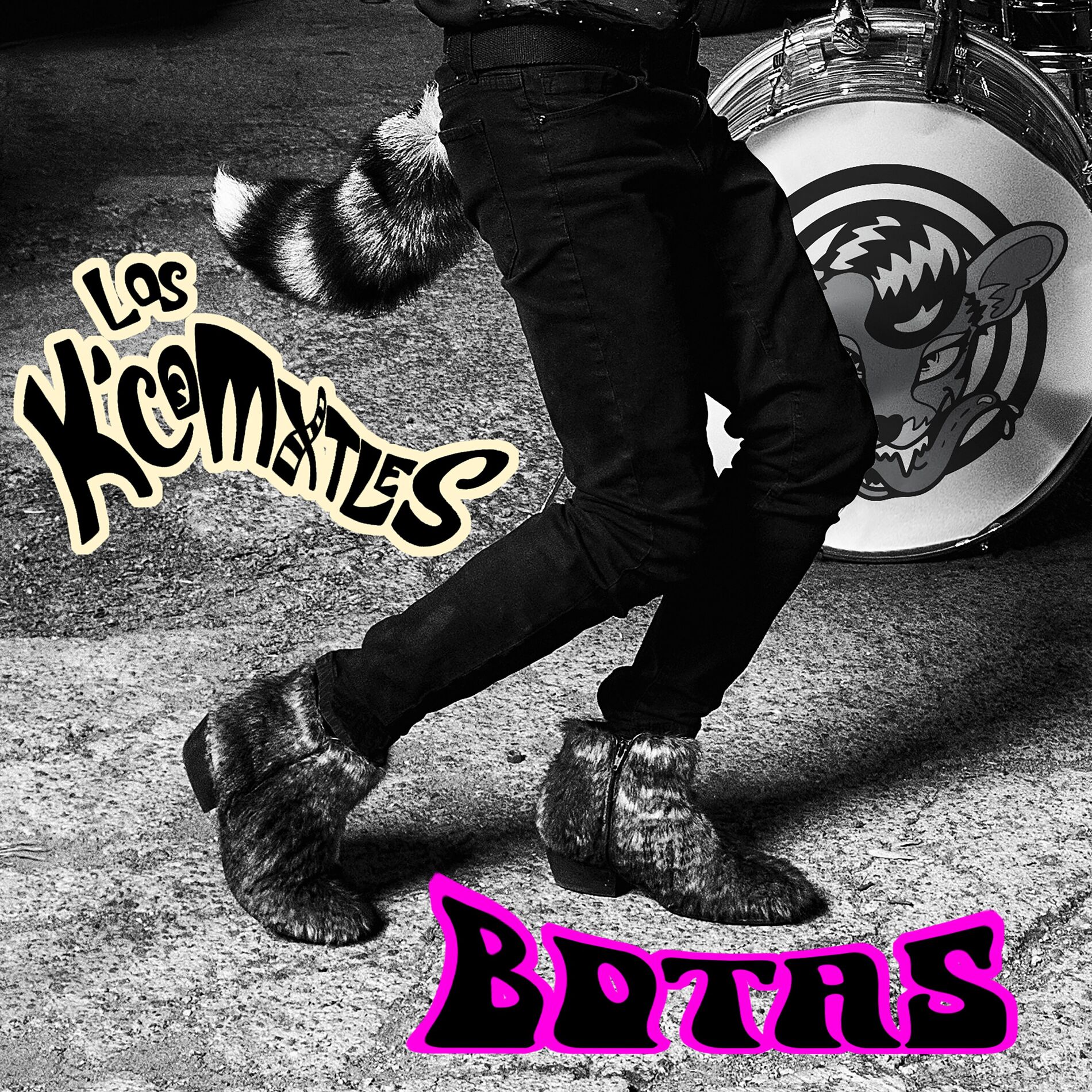 Album cover of Botas