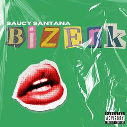 Cover of Bizerk