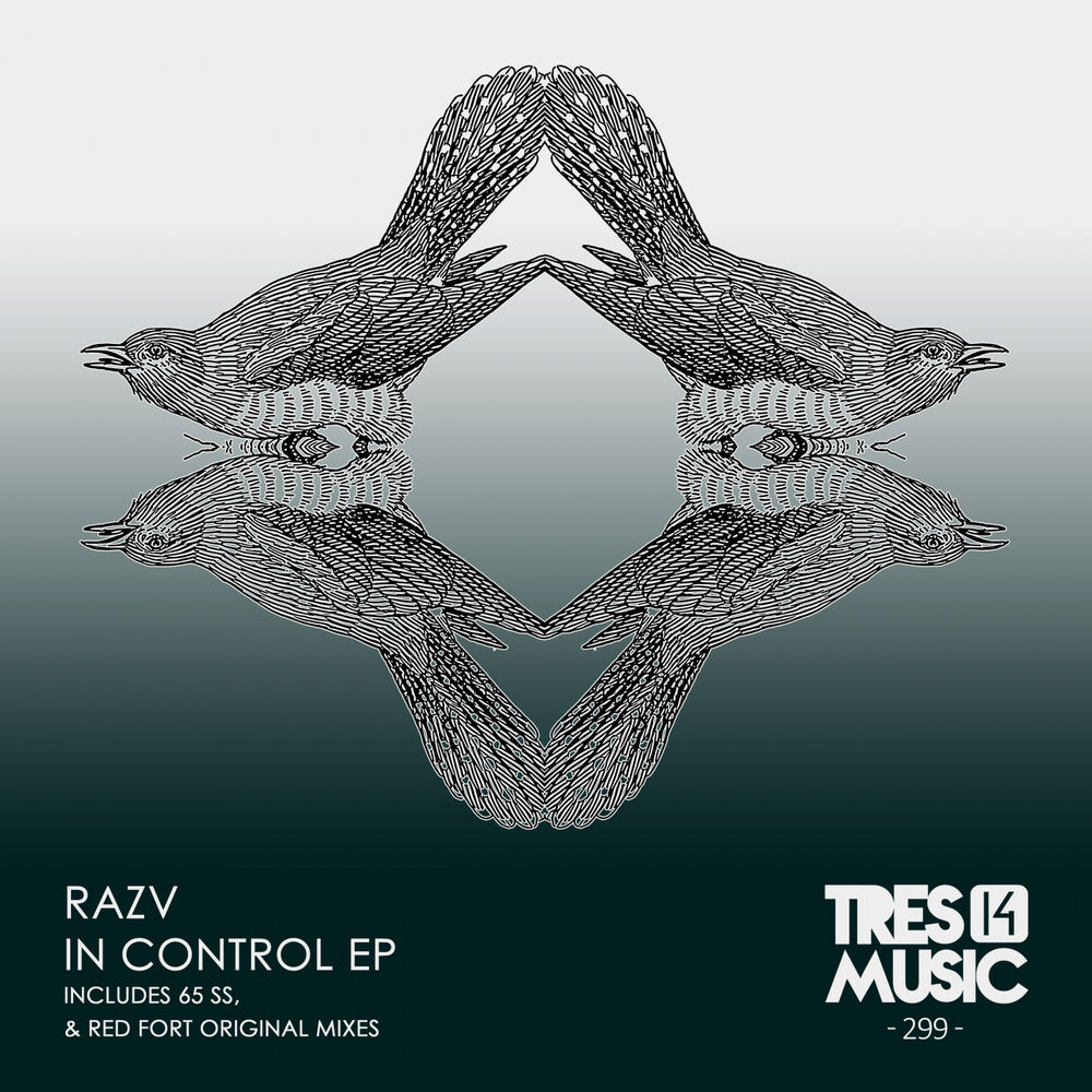 Picture of IN CONTROL EP