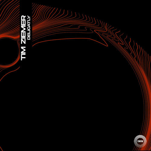  Tim Ziemer - Delicatly (2025) 