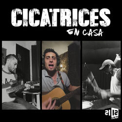 Cover of Cicatrices en Casa