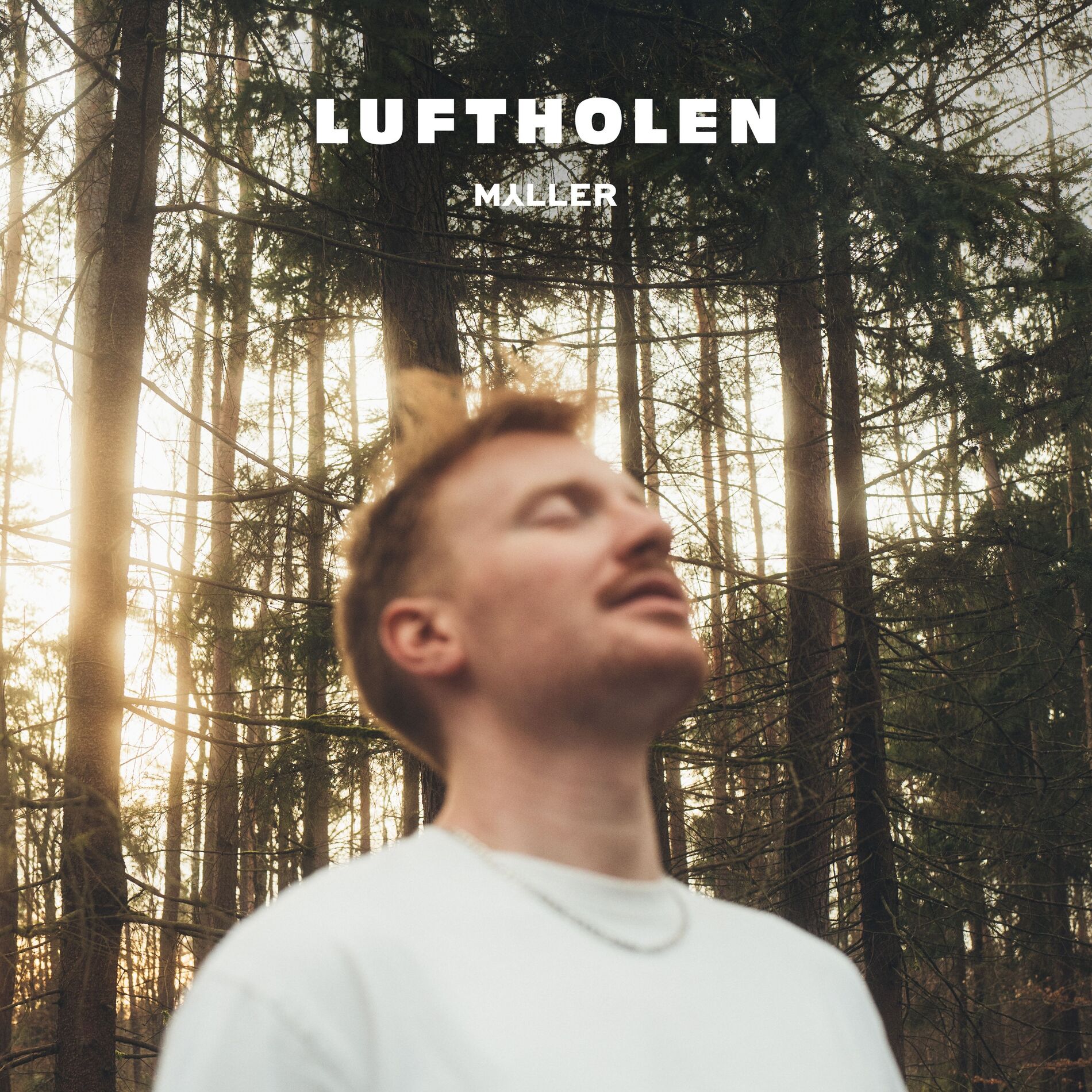 Album cover of Luftholen