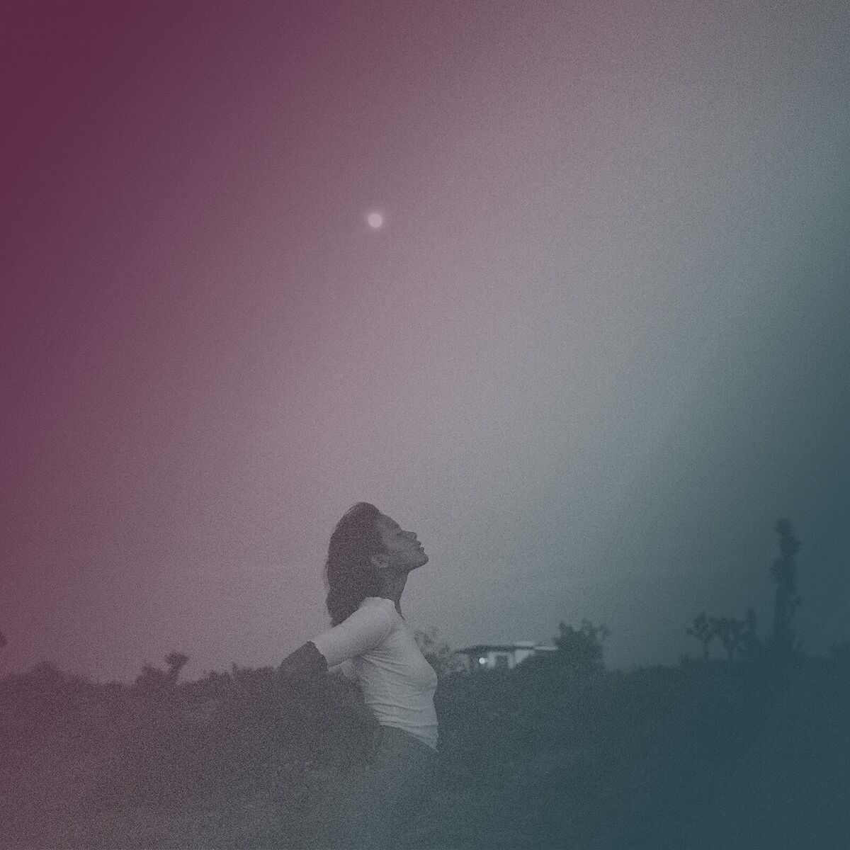 Album cover of Nightshade