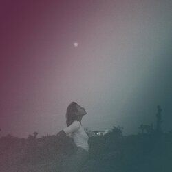 Cover of Nightshade