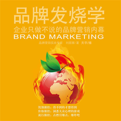 品牌发烧学