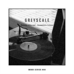 Cover of Anamnestic Echoes