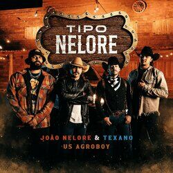 Cover of Tipo Nelore