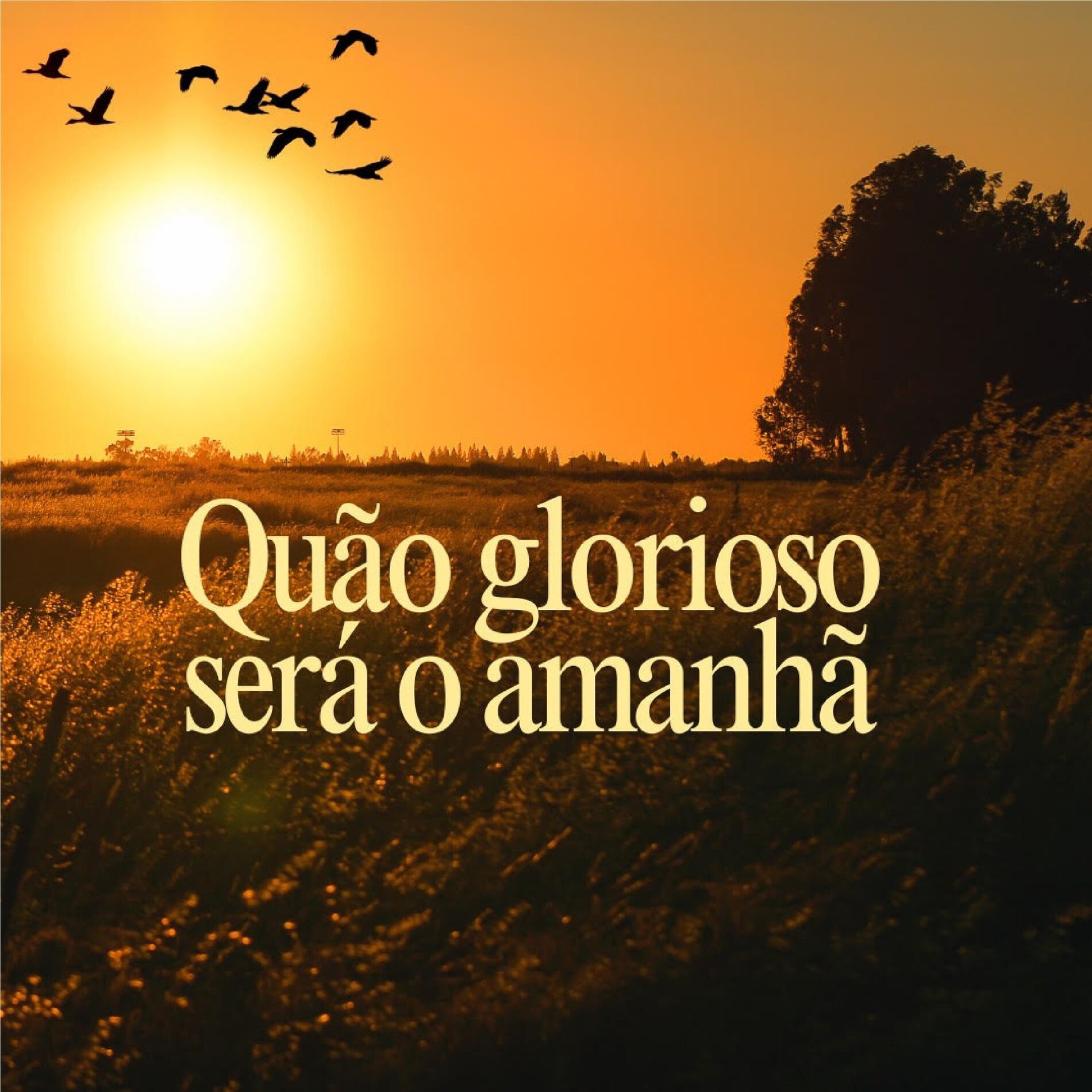 Album cover of Quão Glorioso Será o Amanhã