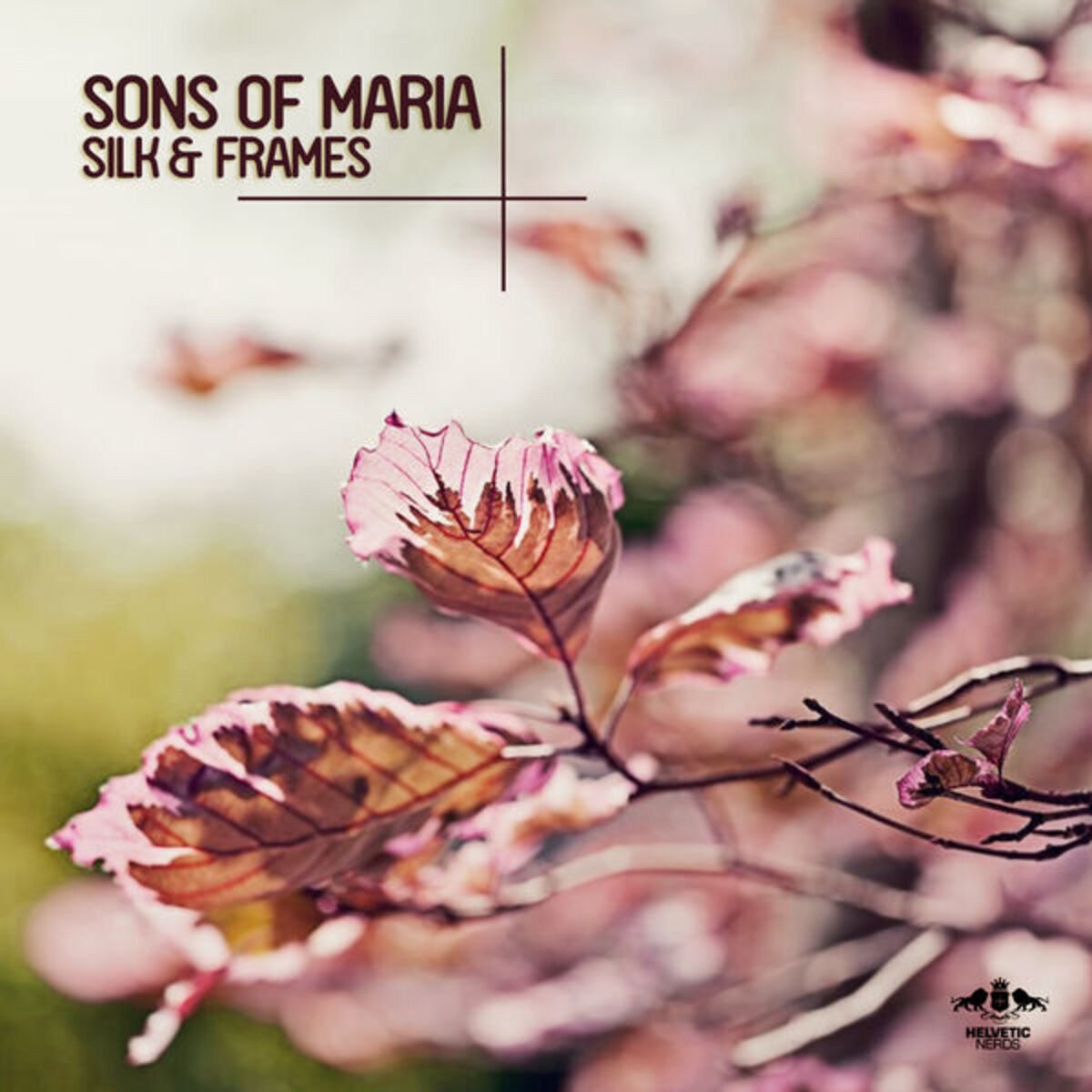 Album cover of Silk & Frames