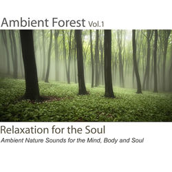 Ambient Forest, Vol. 1 (Ambient Nature Sounds for the Mind, Body and Soul)