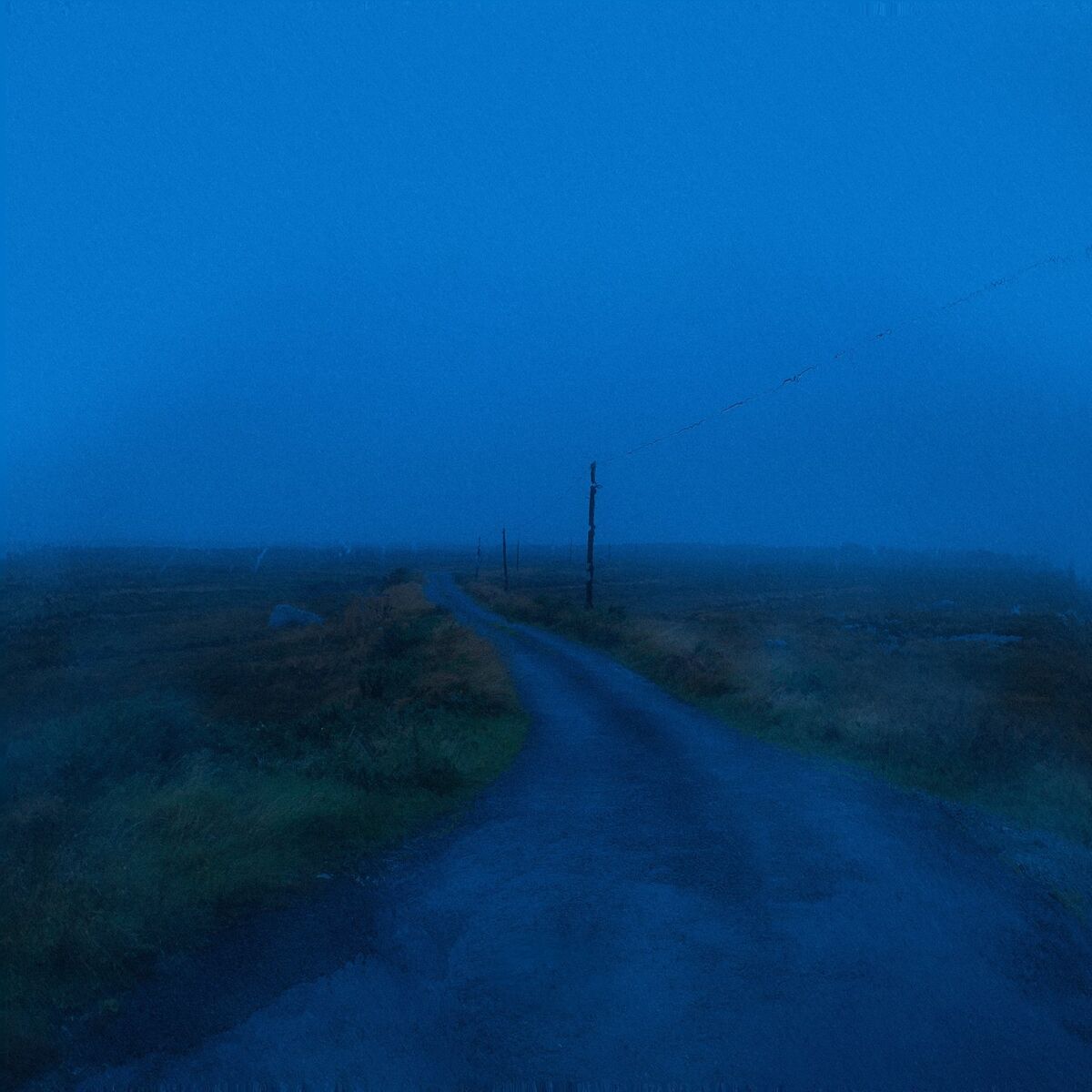 Album cover of Pulse