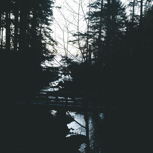 Swimming in Circles