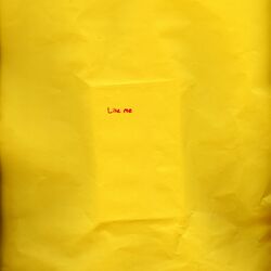 Cover of Like Me