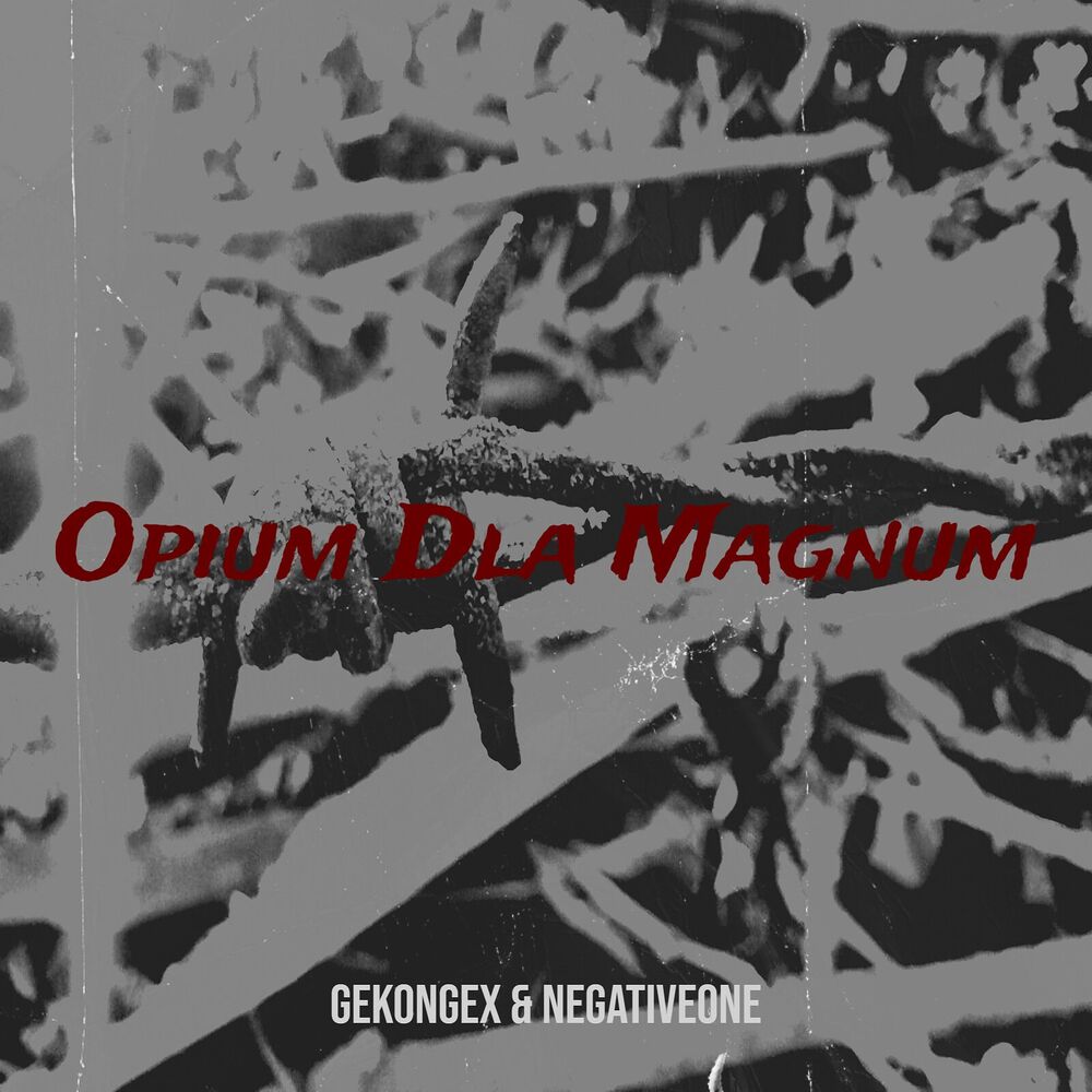 Picture of Opium Dla Magnum