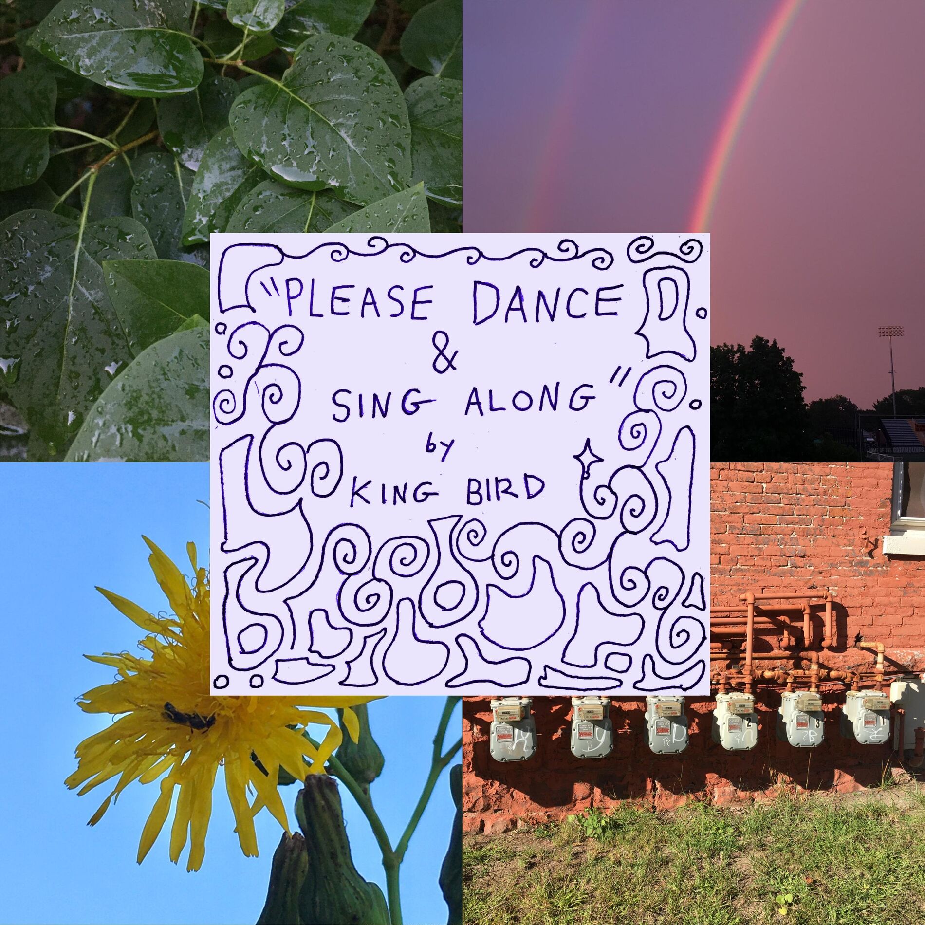 Album cover of Please Dance and Sing Along