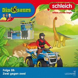 Cover of Folge 28: Zwei gegen zwei