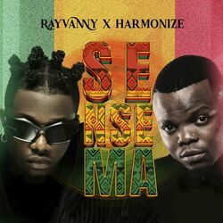 Cover of Sensema