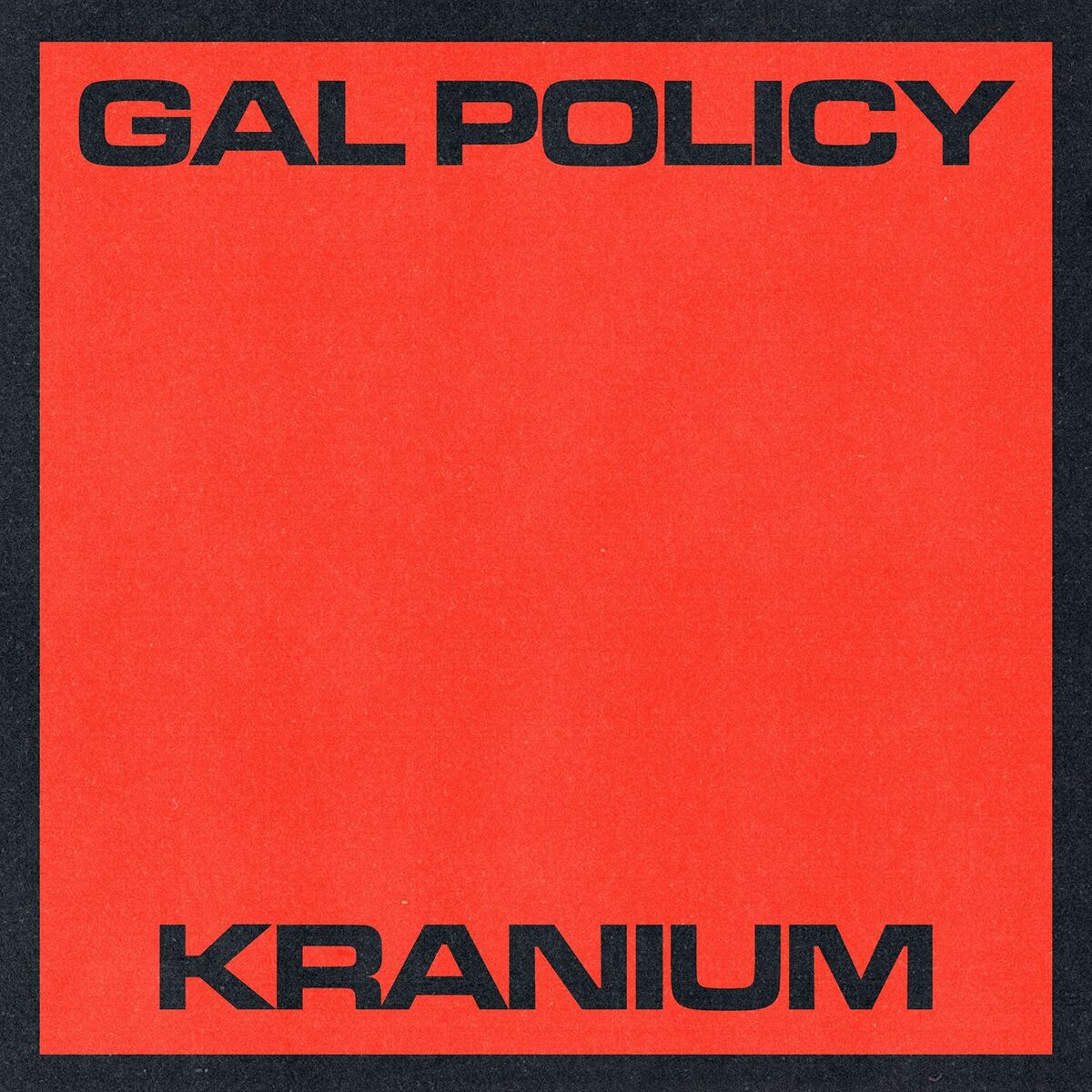 Album cover of Gal Policy