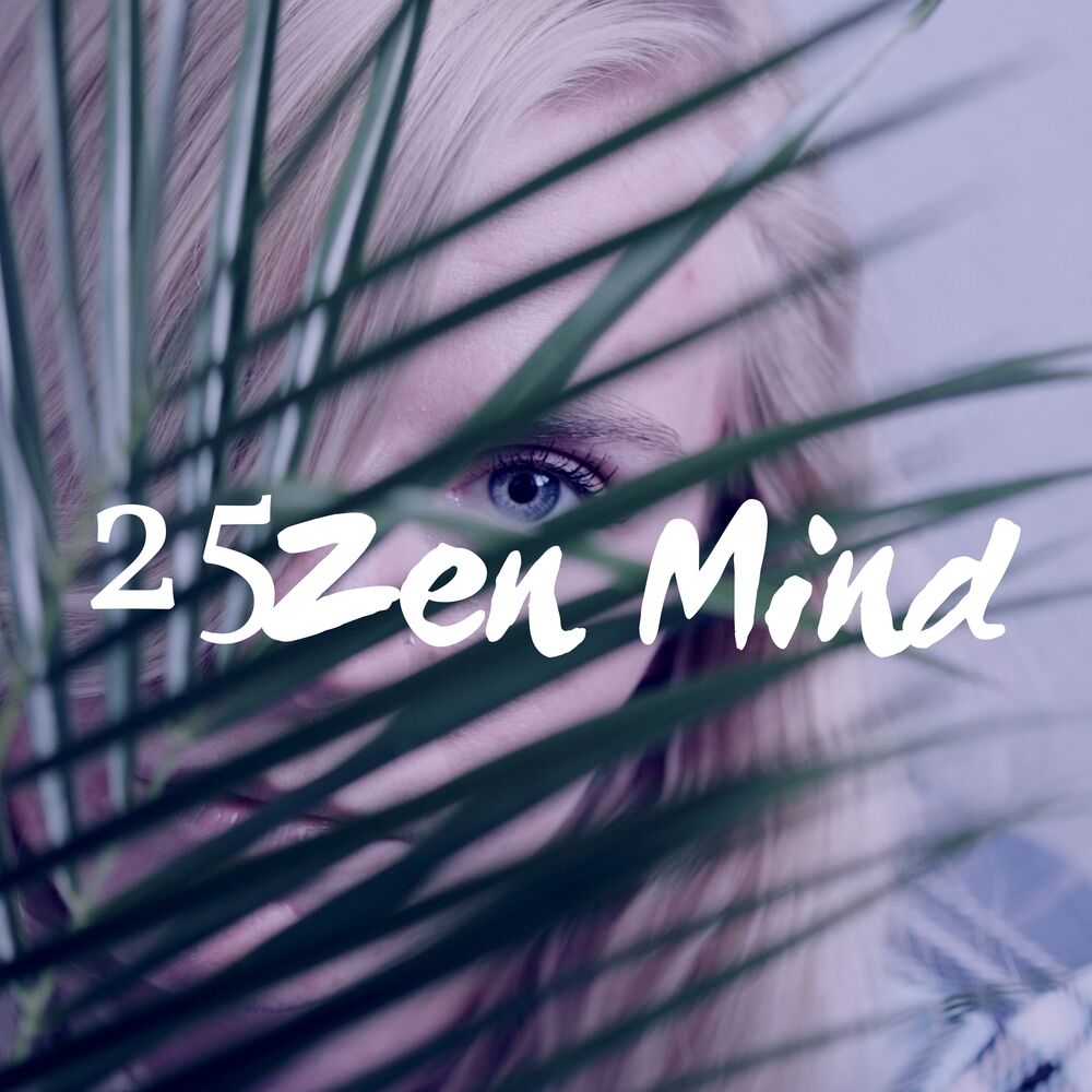 Picture of Zen Mind 25 - Meditation Musique
