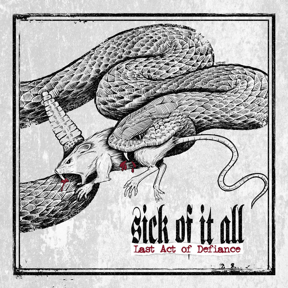 Album cover of DNC