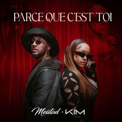 Cover of Parce que c'est toi