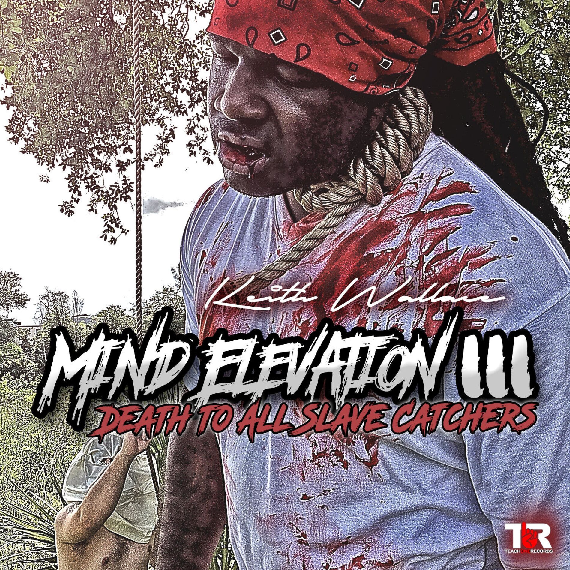 Album cover of Death To All Slave Catchers