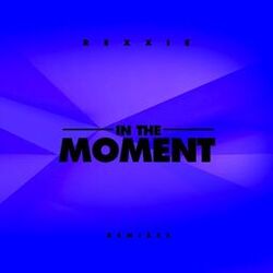 Cover of In the Moment (Remixes)