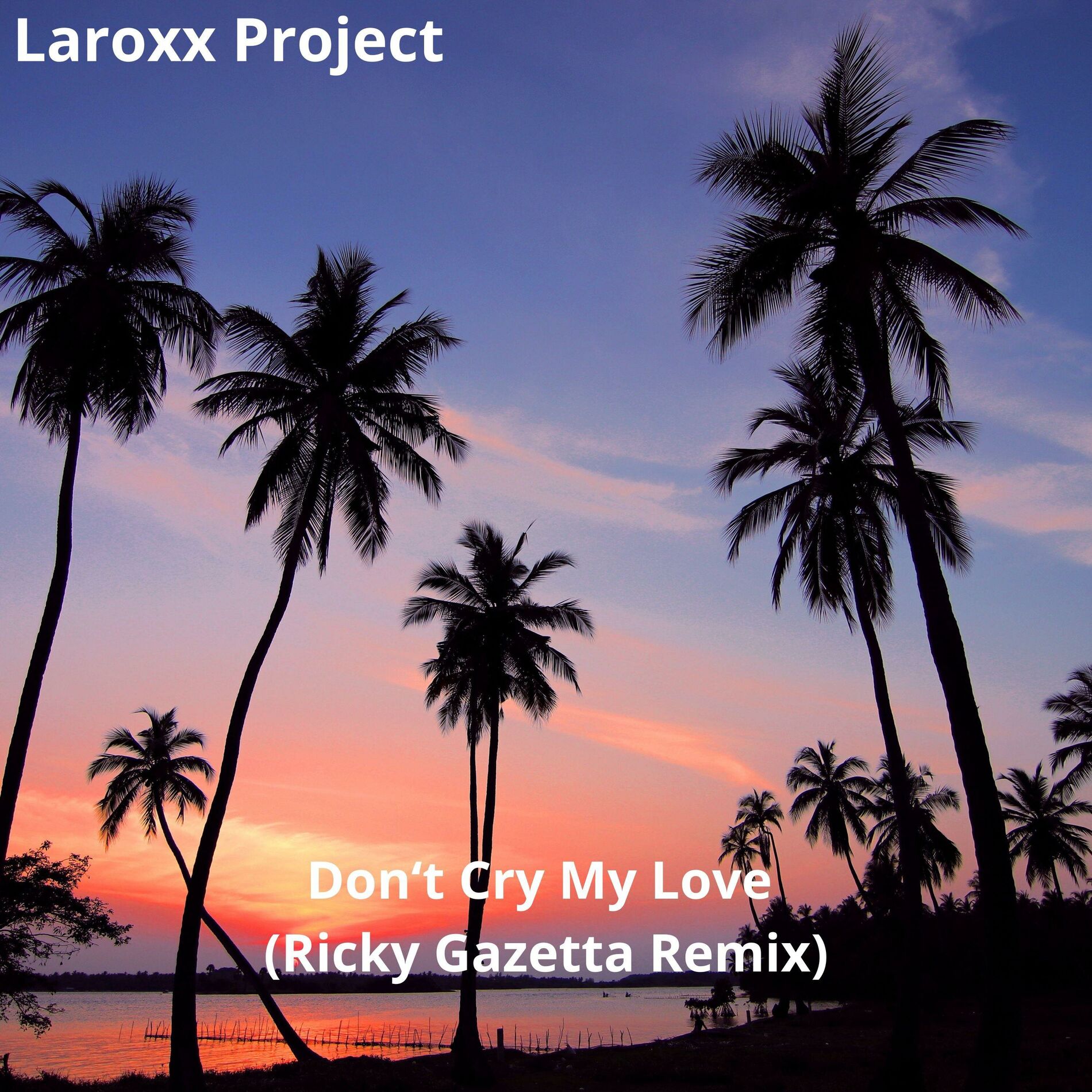 Album cover of Don't Cry My Love (Ricky Gazetta Remix)
