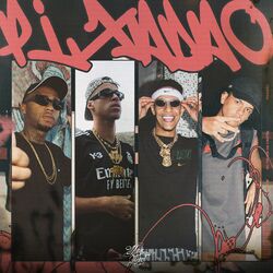 Cover of Pixadão