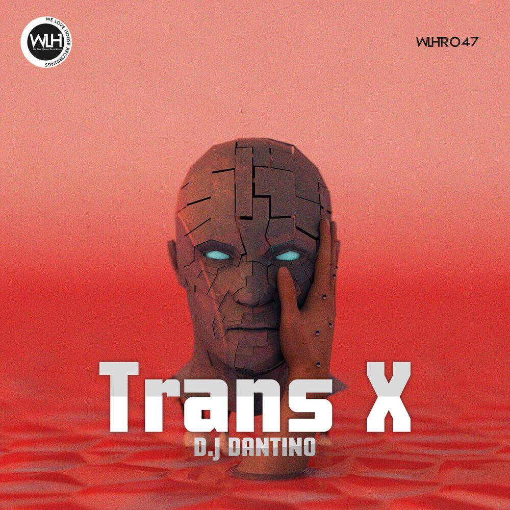 Picture of Trans X