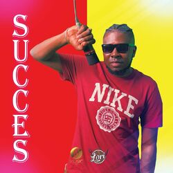 Cover of Succes