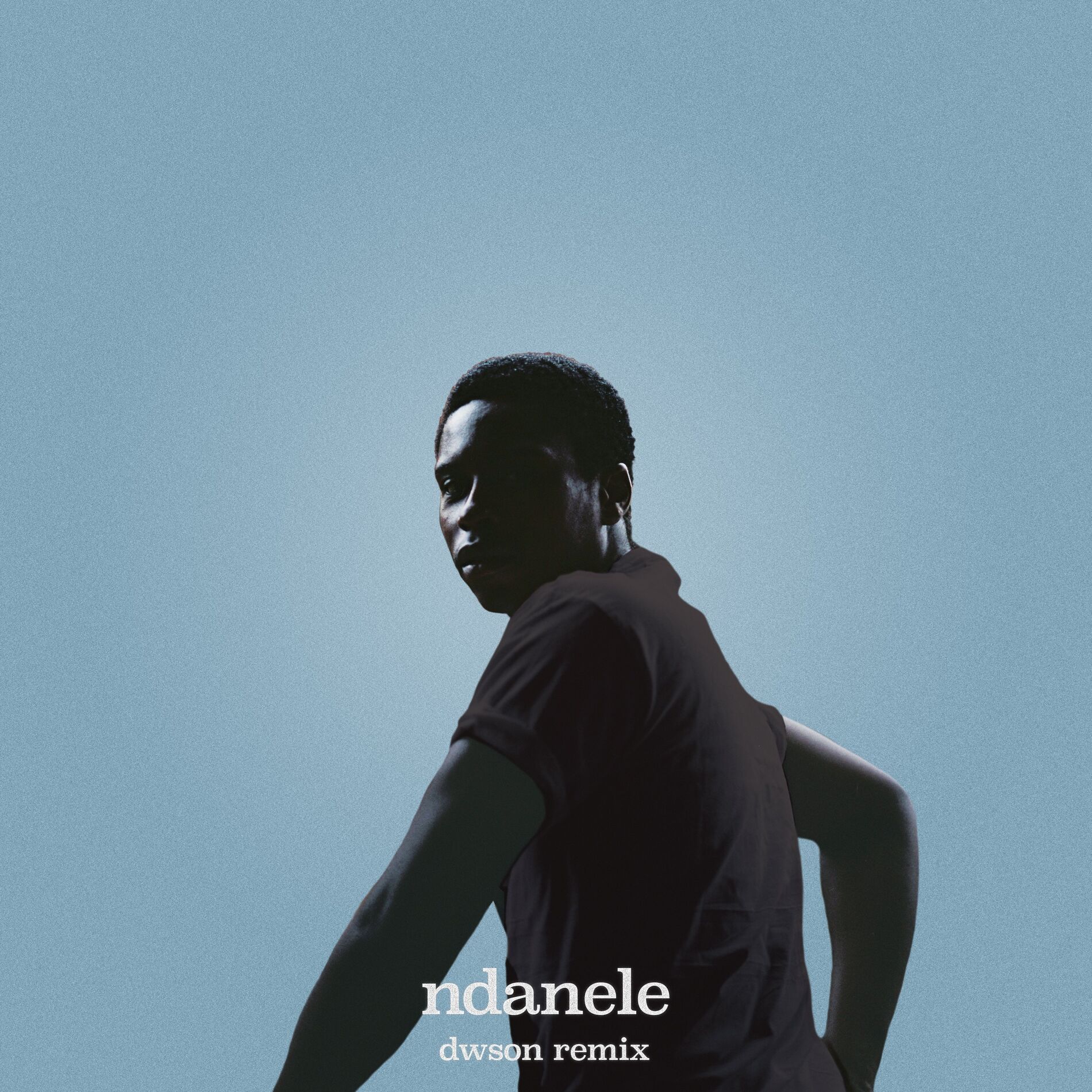 Album cover of ndanele