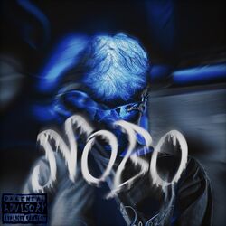 Cover of NOBO