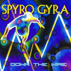 Cover of Down the Wire