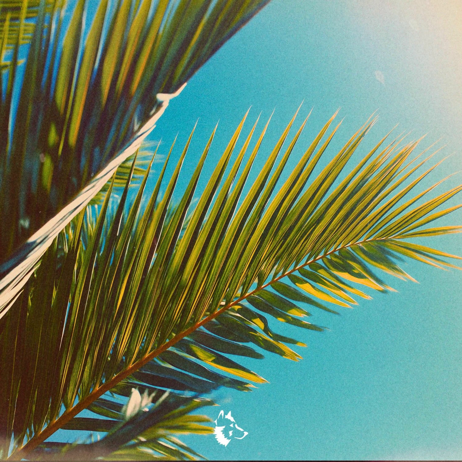 Album cover of Loving Life