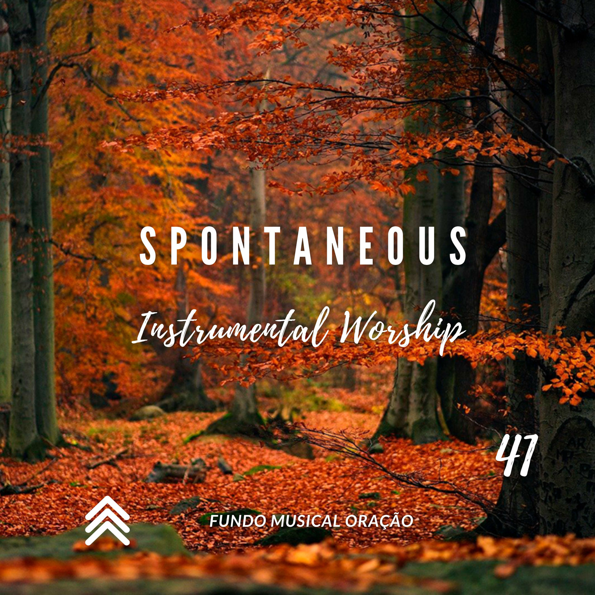 Album cover of Spontaneous Instrumental Worship 41