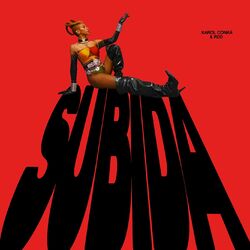Cover of Subida