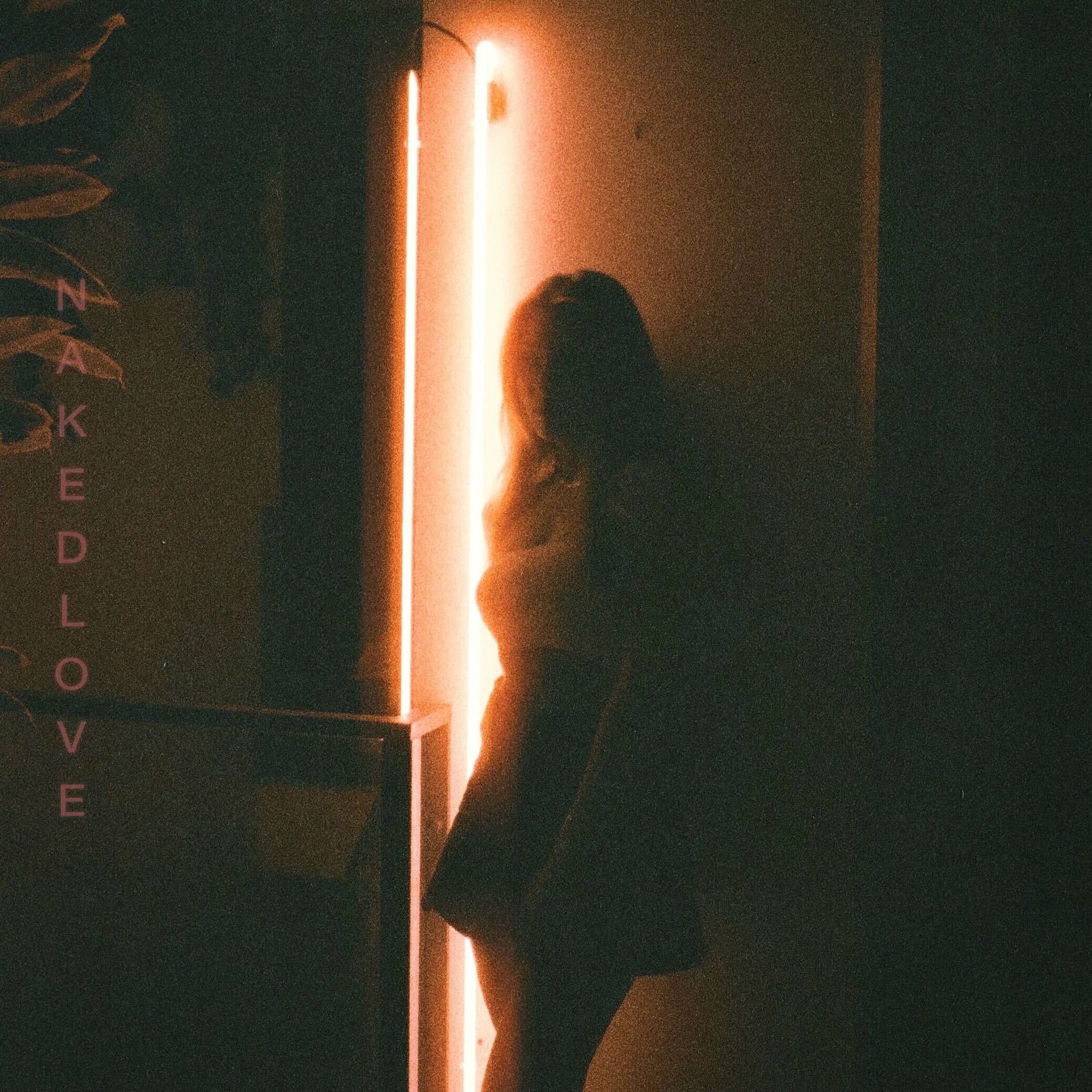 Album cover of Naked Love