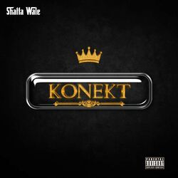 Cover of Konekt