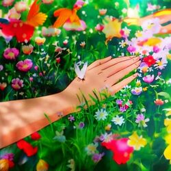 Cover of You're the Garden to My Heart