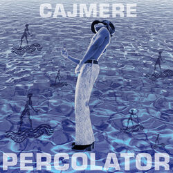 Cover of Percolator (Original Mix)
