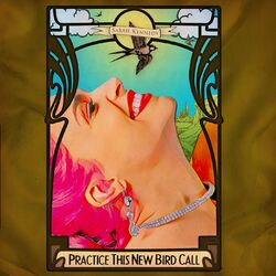 Cover of Practice This New Birdcall