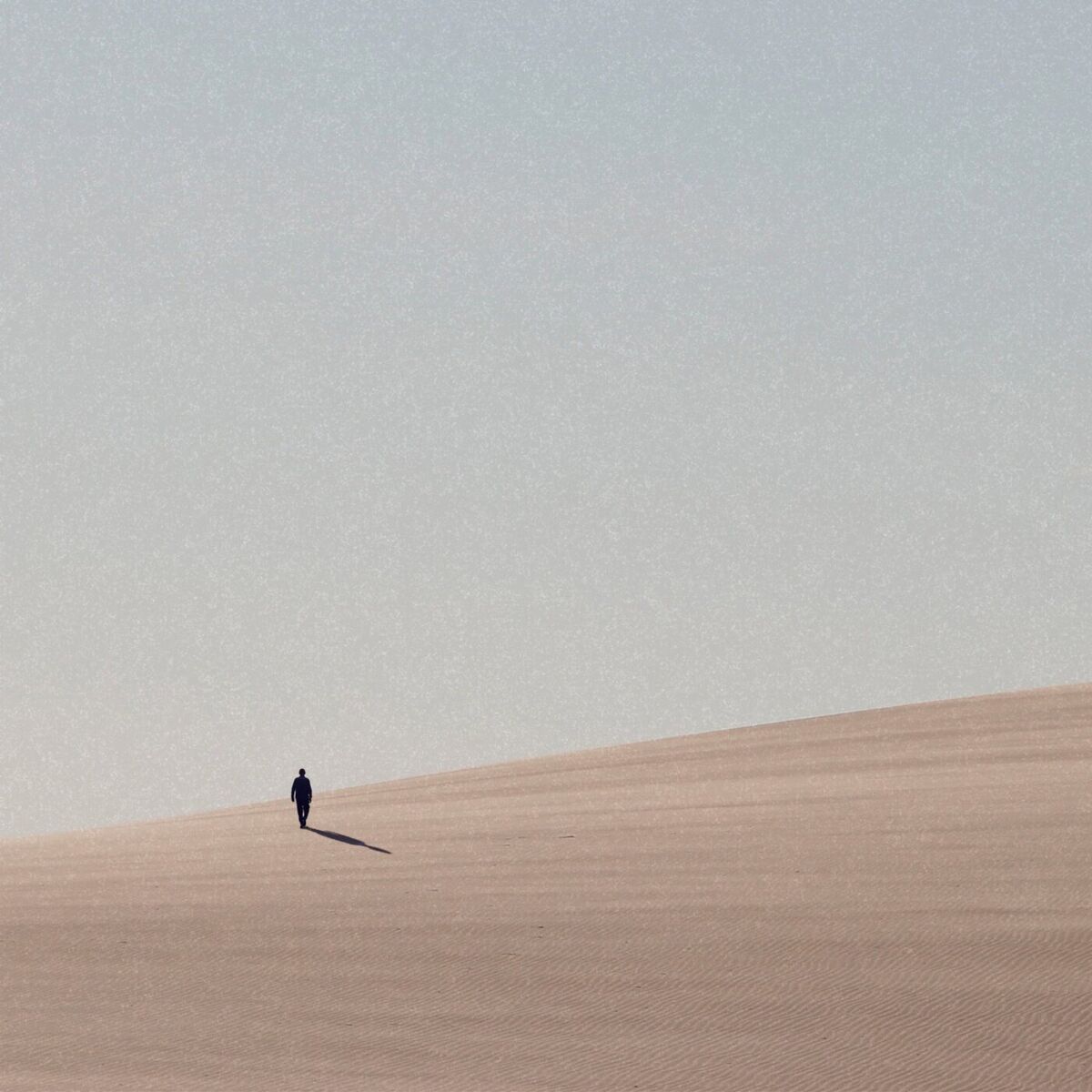Album cover of Shadow of the Colossus