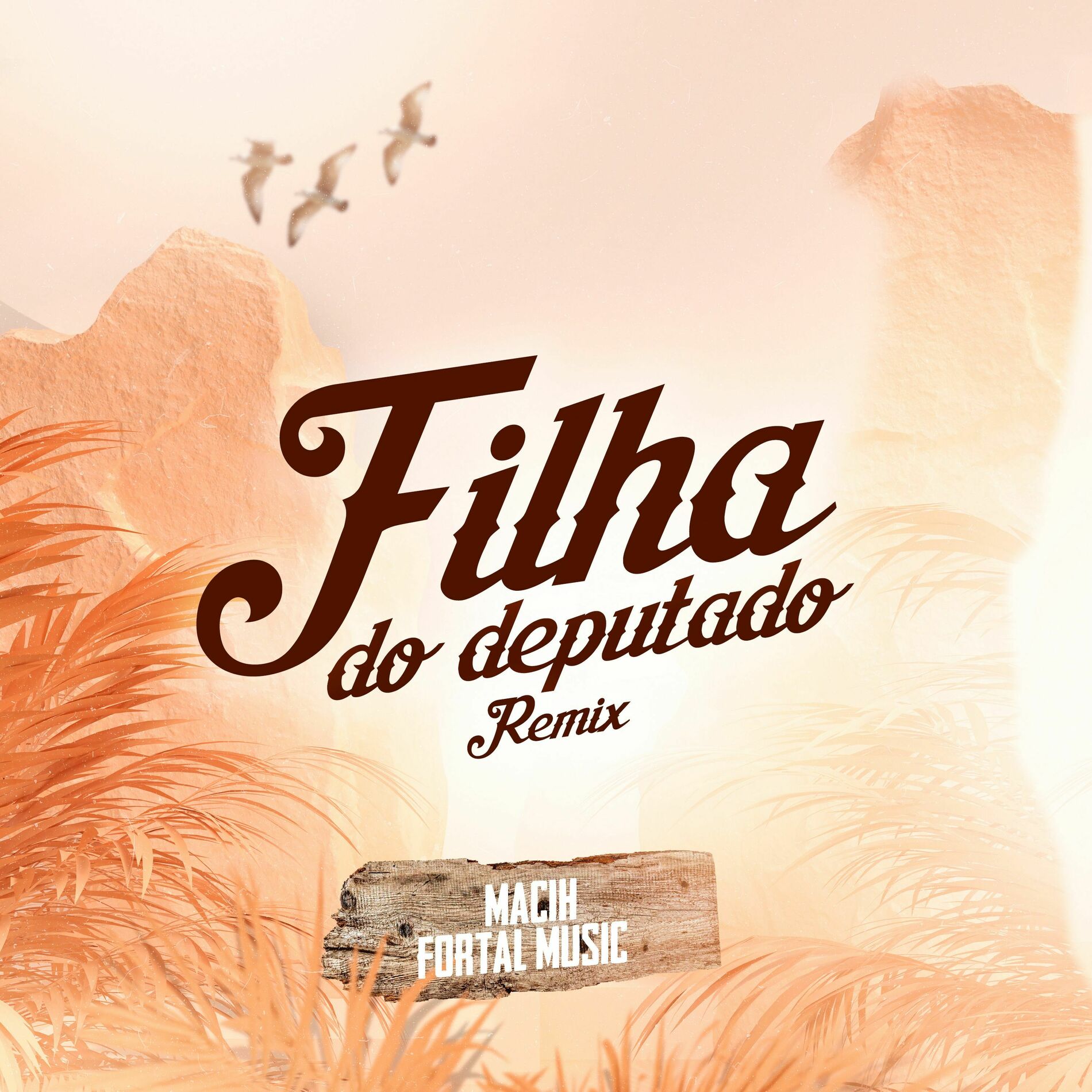 Album cover of Filha do Deputado (Remix)